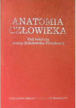 Anatomia człowieka