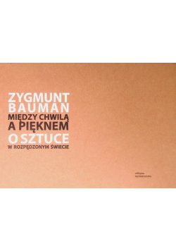 Między chwilą a pięknem