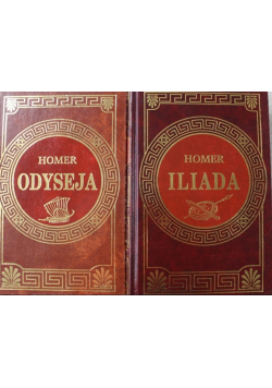 Odyseja / Iliada