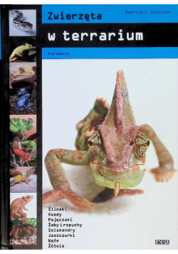 Zwierzęta w terrarium