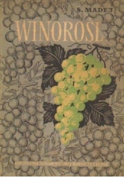 Winorośl