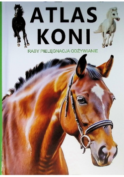 Atlas koni