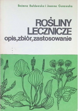 Rośliny lecznicze opis, zbiór, zastosowanie