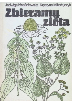 Zbieramy zioła