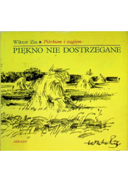 Piękno nie dostrzegane