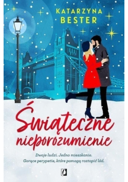 Świąteczne nieporozumienie