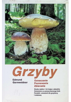 Grzyby