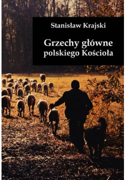 Grzechy główne polskiego Kościoła