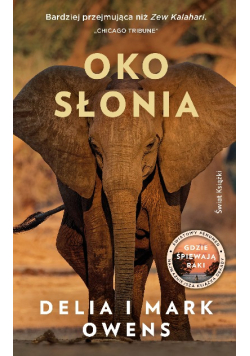 Oko słonia