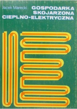 Gospodarka skojarzona cieplno-elektryczna