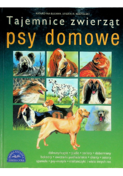Tajemnice zwierząt Psy domowe