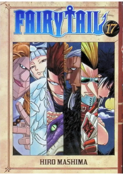 Fairy Tail Tom 17