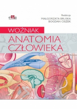 Anatomia człowieka