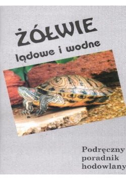Żółwie lądowe i wodne