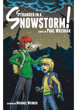 Stranded in a Snowstorm!