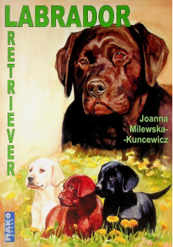 Labrador Retriever