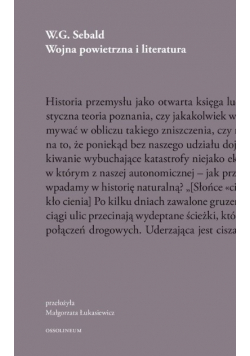 Wojna powietrzna i literatura