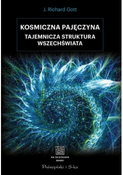 Kosmiczna pajęczyna tajemnicza struktura wszechświata