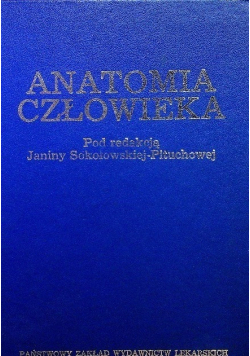 Anatomia człowieka