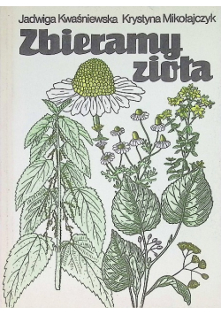 Zbieramy zioła