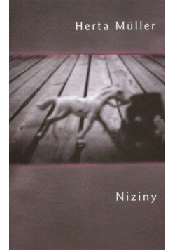 Niziny