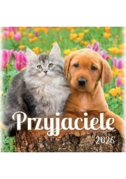Kalendarz 2026 wieloplanszowy 33x33cm Przyjaciele