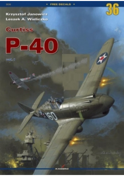 Curtiss P - 40 vol I