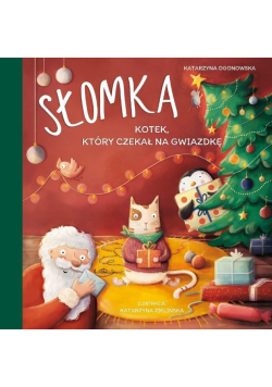 Słomka - kotek, który czekał na Gwiazdkę