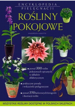 Rośliny pokojowe