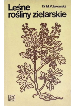 Leśne rośliny zielarskie