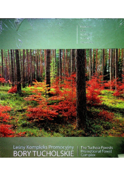 Leśny kompleks promocyjny Bory Tucholskie