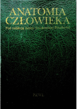 Anatomia człowieka