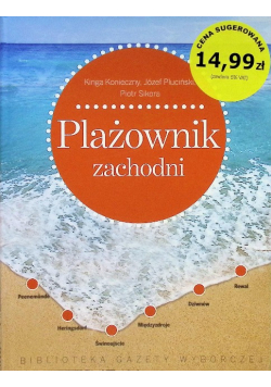 Plażownik zachodni
