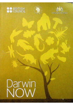 Darwin now