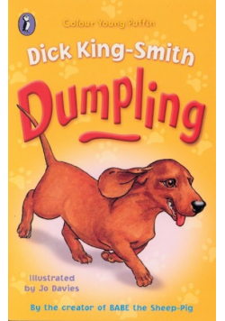 Dumpling