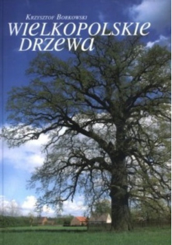 Wielkopolskie drzewa