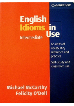 English Idioms in Use Intermediate