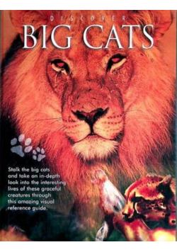 Discover Big Cats