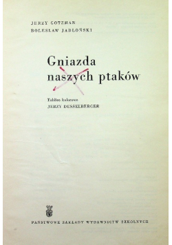 Gniazda naszych ptaków