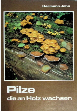 Pilze die and holz