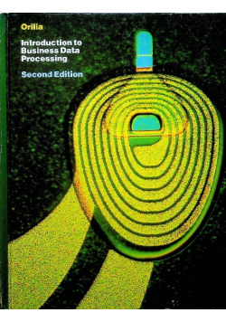 Introduction business data processing