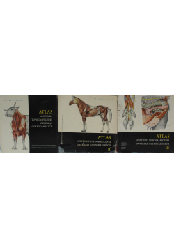 Atlas Anatomii Topograficznej Zwierząt Gospodarskich Tom 1 do 3