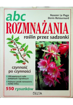 ABC rozmnażania roślin przez sadzonki