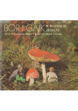 Czarnecki bór i gaik w barwach