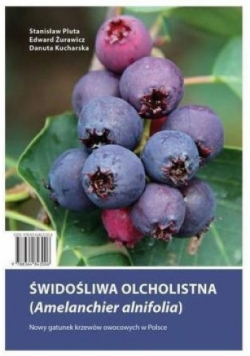 Świdośliwa olcholistna