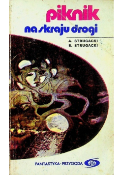 Piknik na skraju drogi