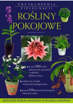 Rośliny pokojowe