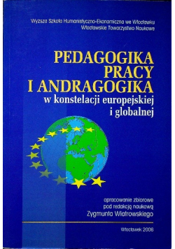 Pedagogika pracy i andragogika Tom 2