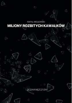 Miliony rozbitych kawałków