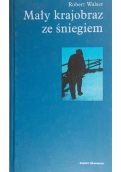 Mały krajobraz ze śniegiem